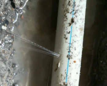 海拉尔卫生间测漏水多少钱
